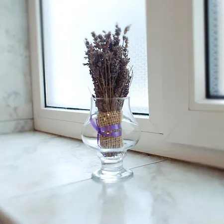 Гостьовий будинок The View House Брашов