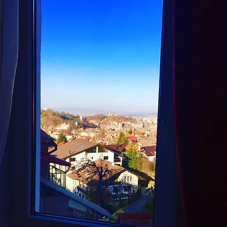 The View House
